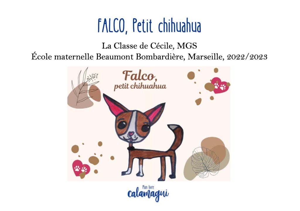 falco petit chihuahua mme bistondi